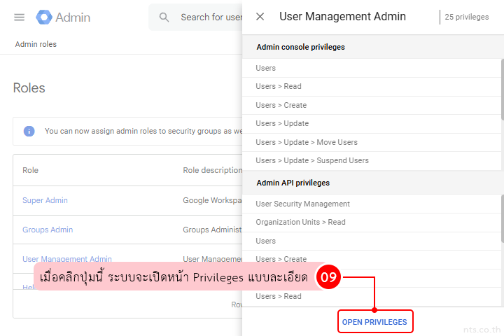 How to view admin privileges google workspace